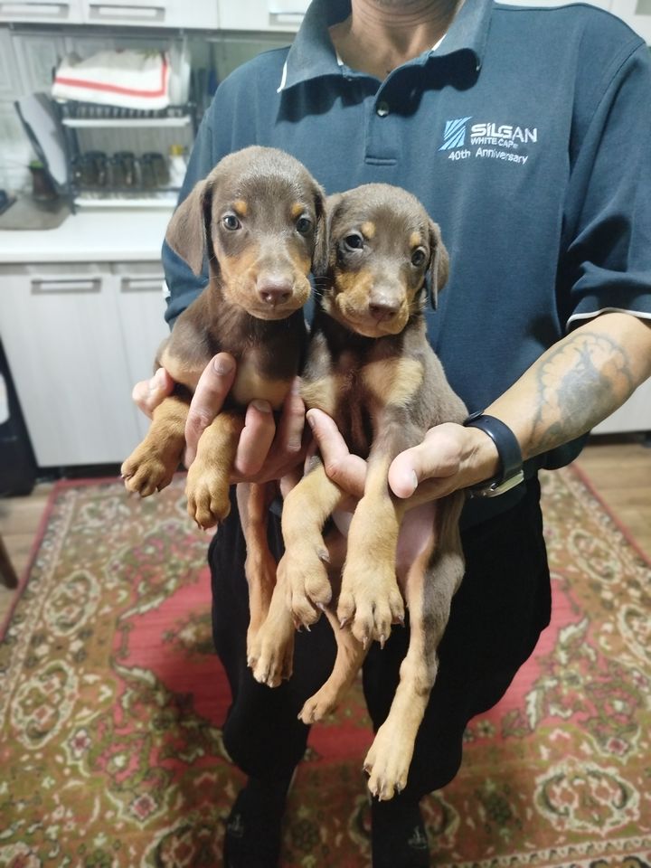 150 USD