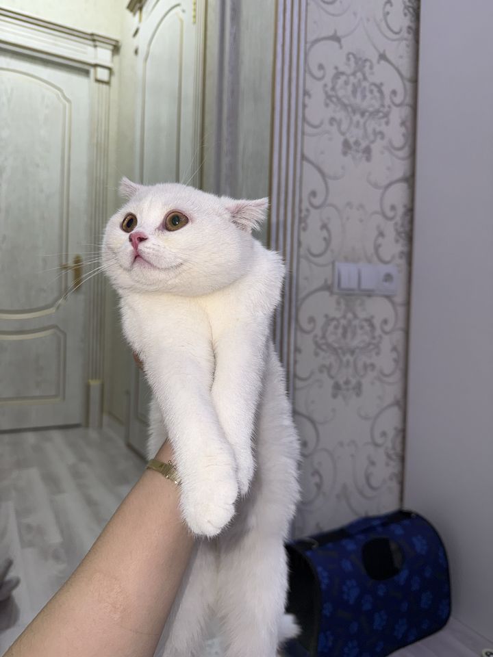 115 USD