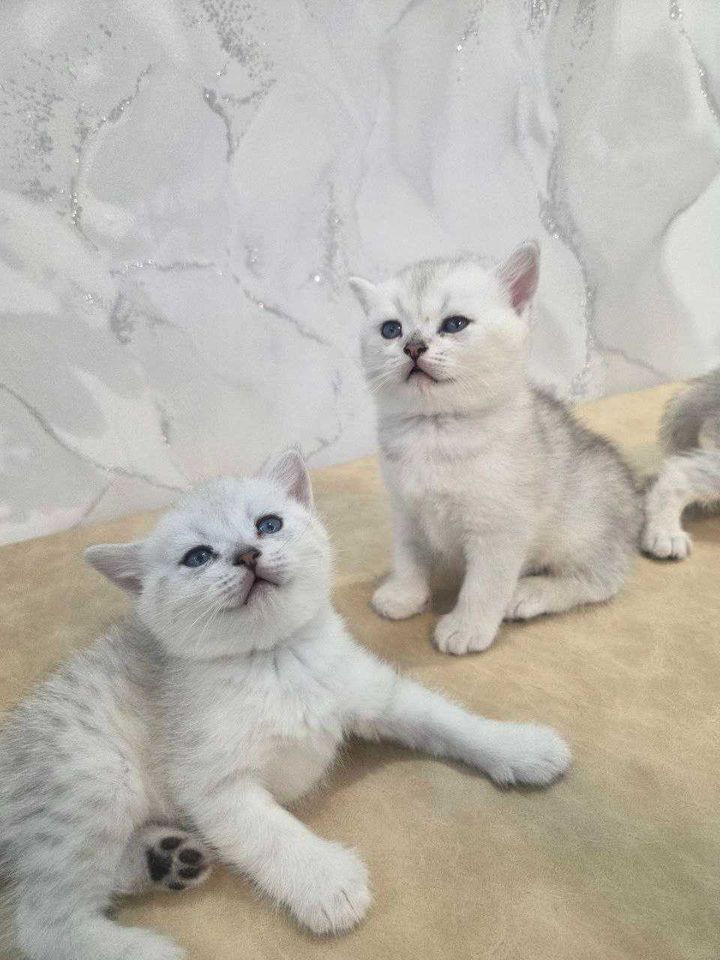120 USD