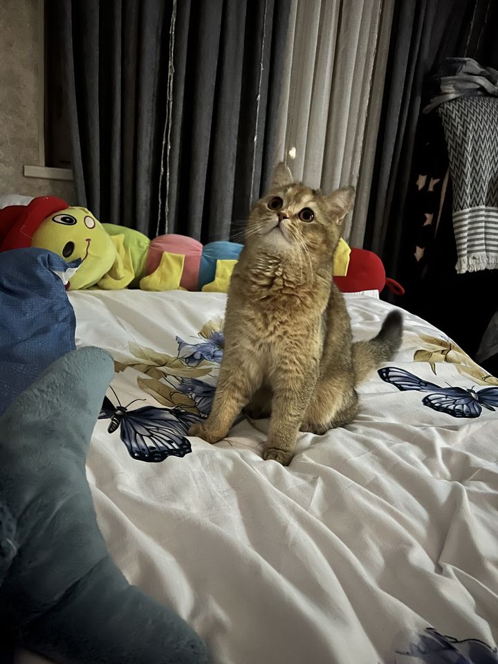 1 000 000 сум
