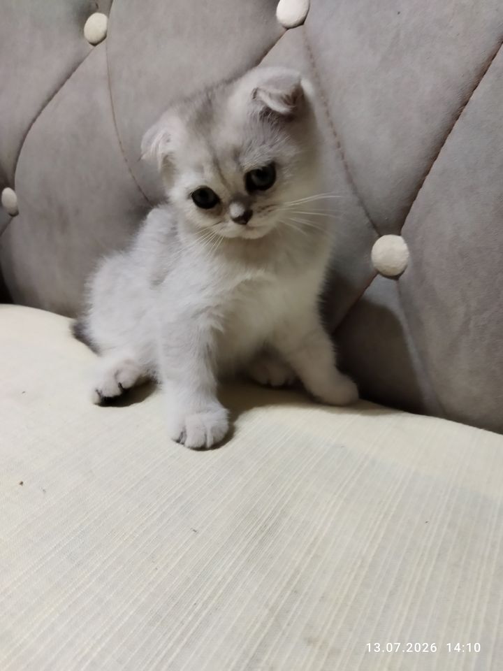 800 000 сум