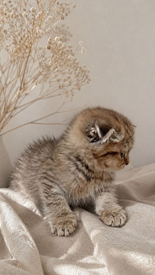 750 000 сум