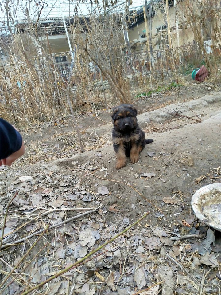 1 300 000 сум