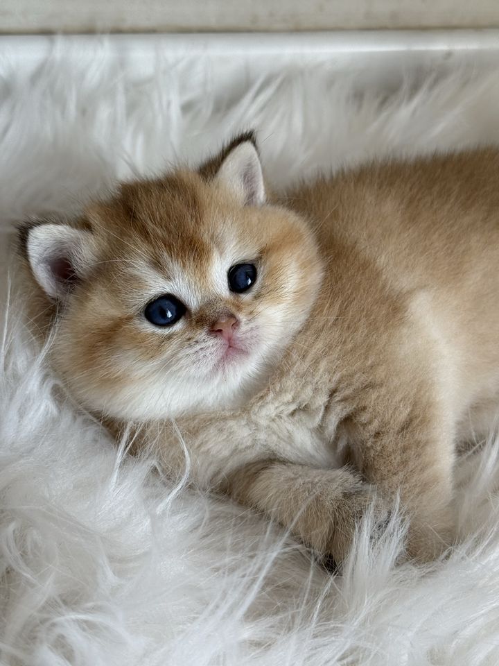 600 USD