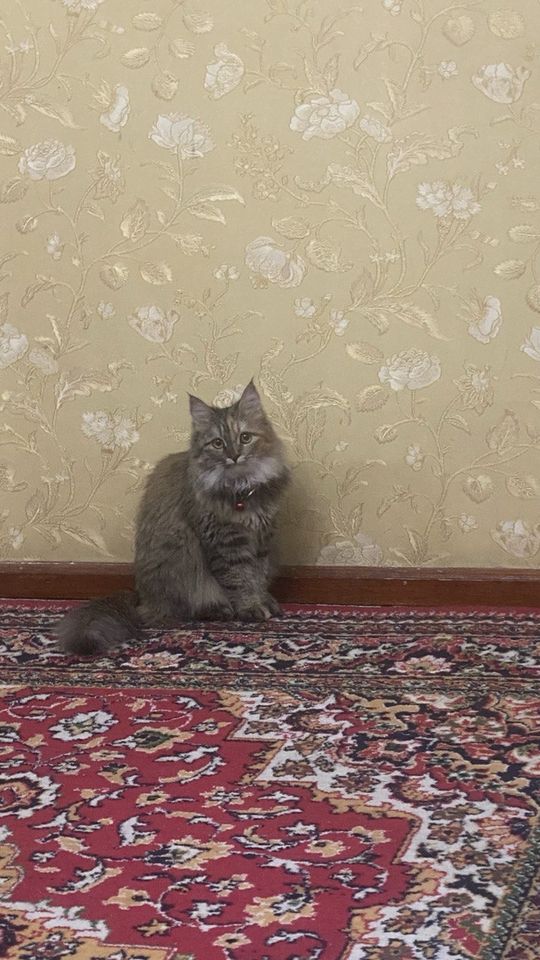 150 000 сум