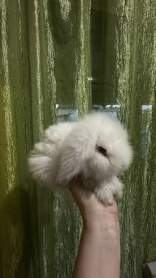 100 000 сум