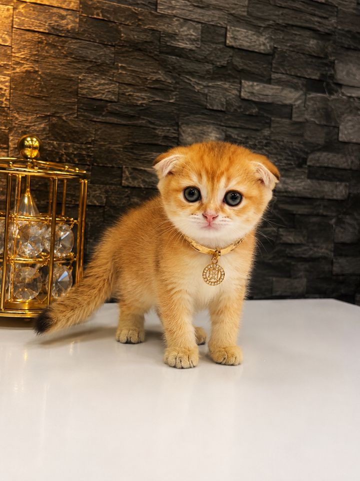 150 USD
