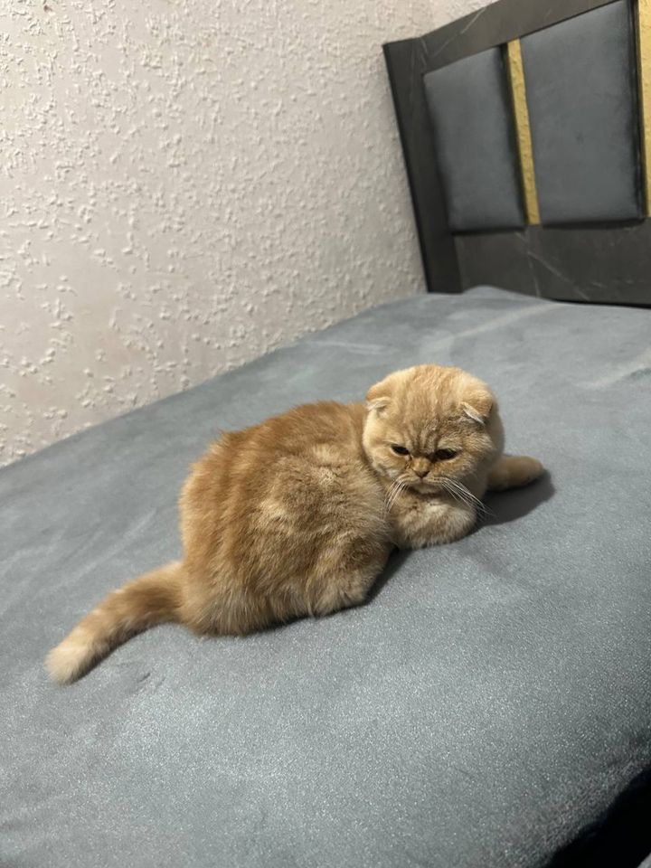 120 USD