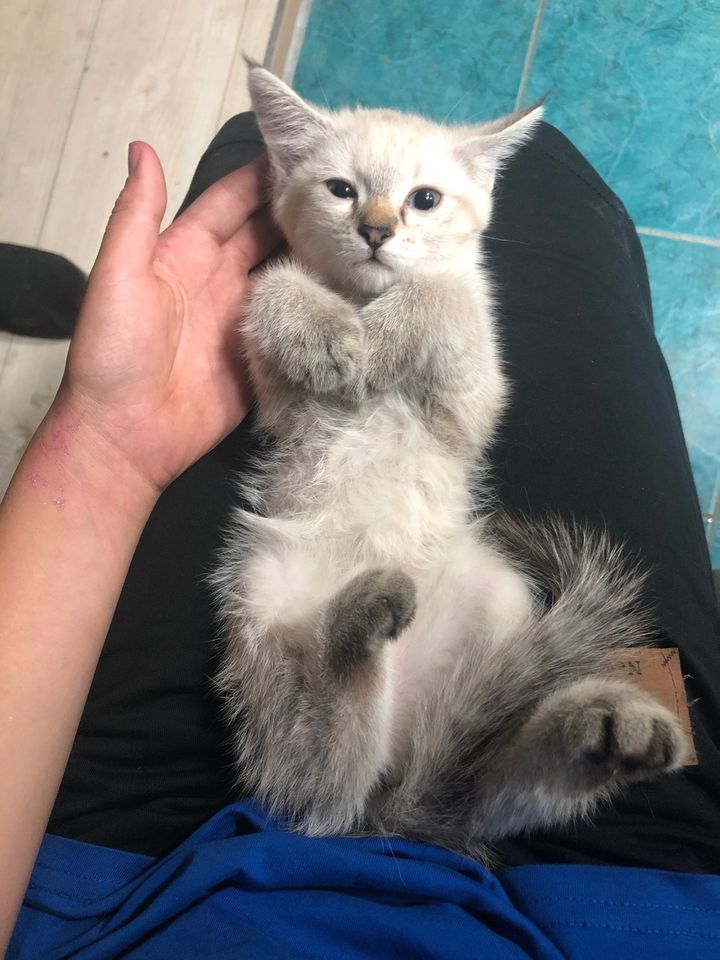 500 000 сум