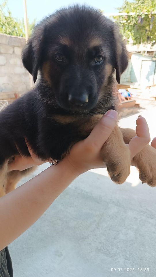 150 USD