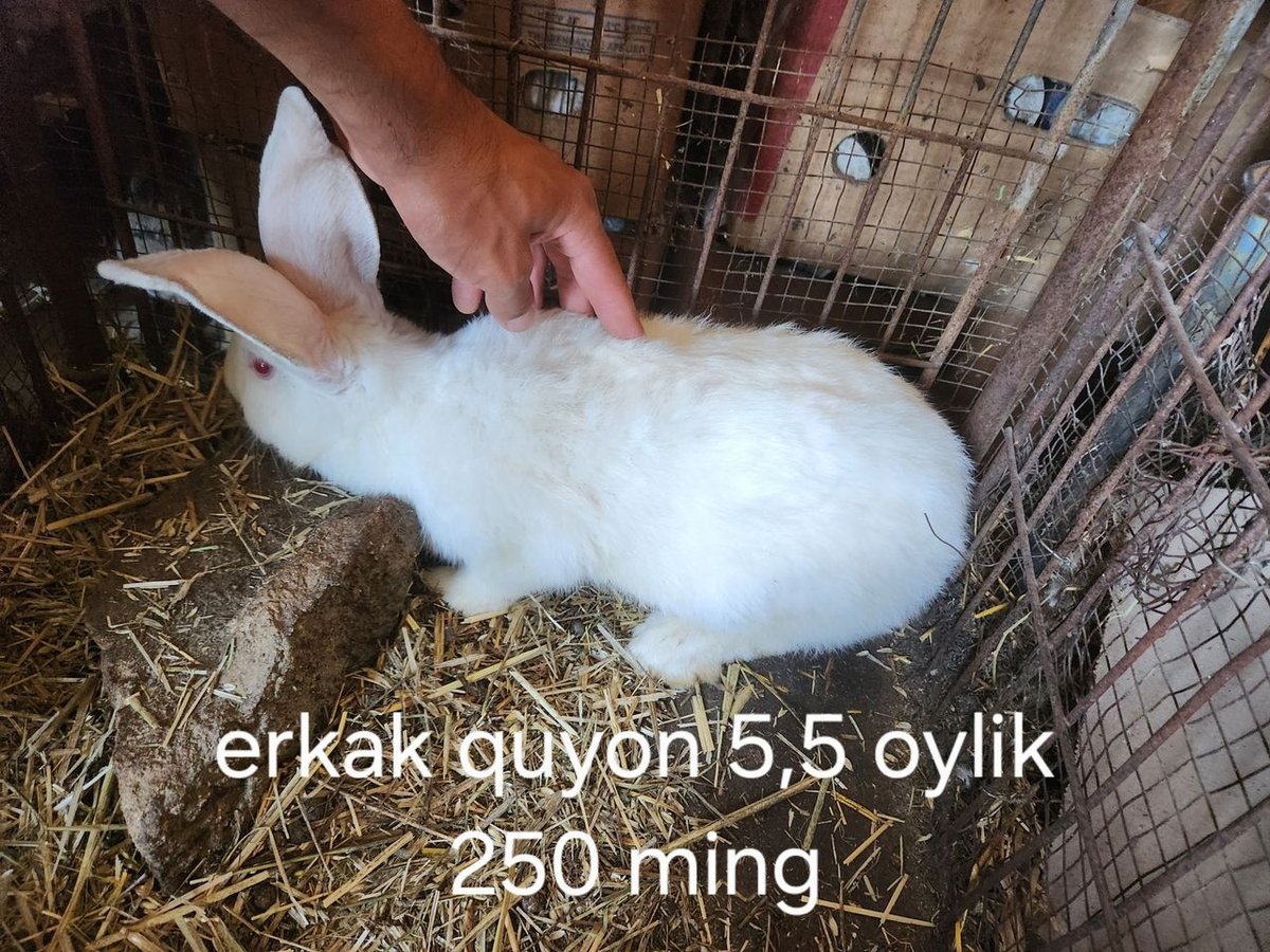 100 000 UZS