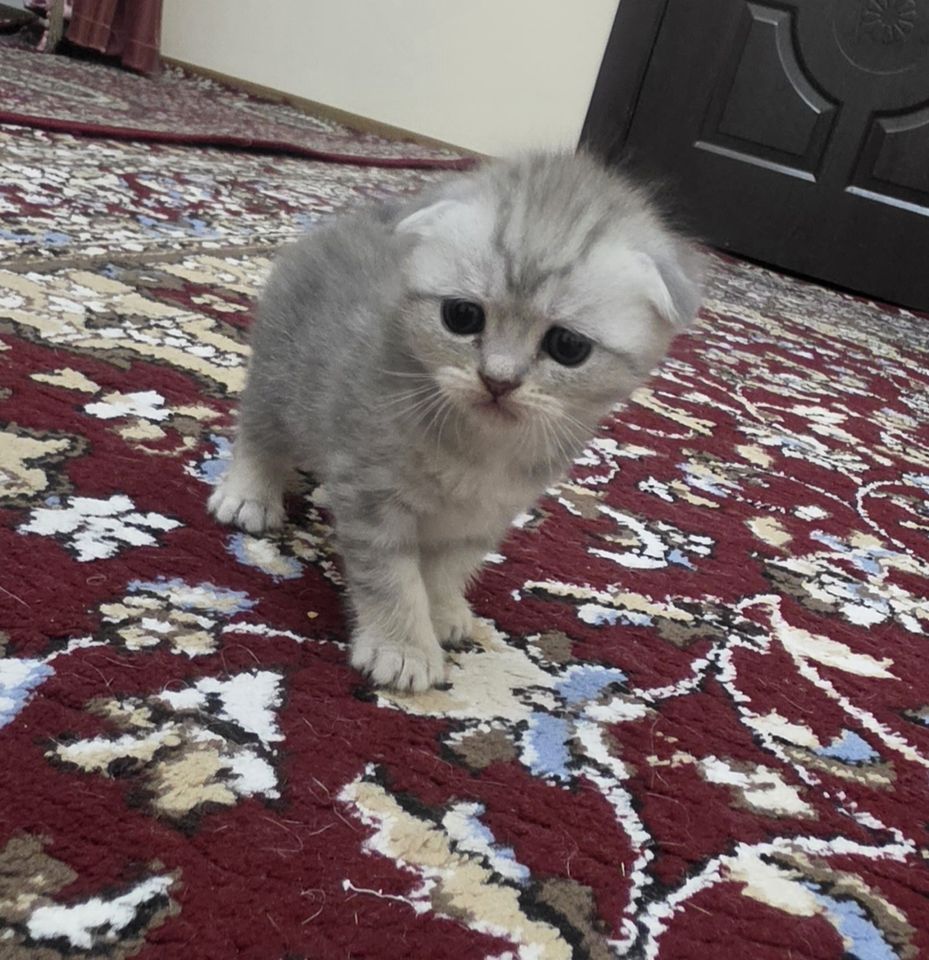 150 USD