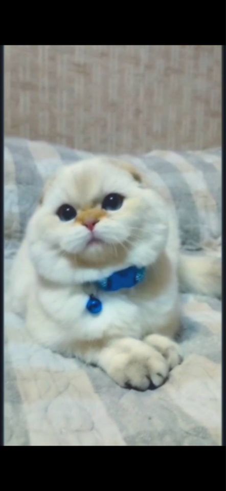 200 USD