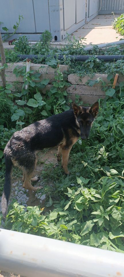 1 500 000 UZS