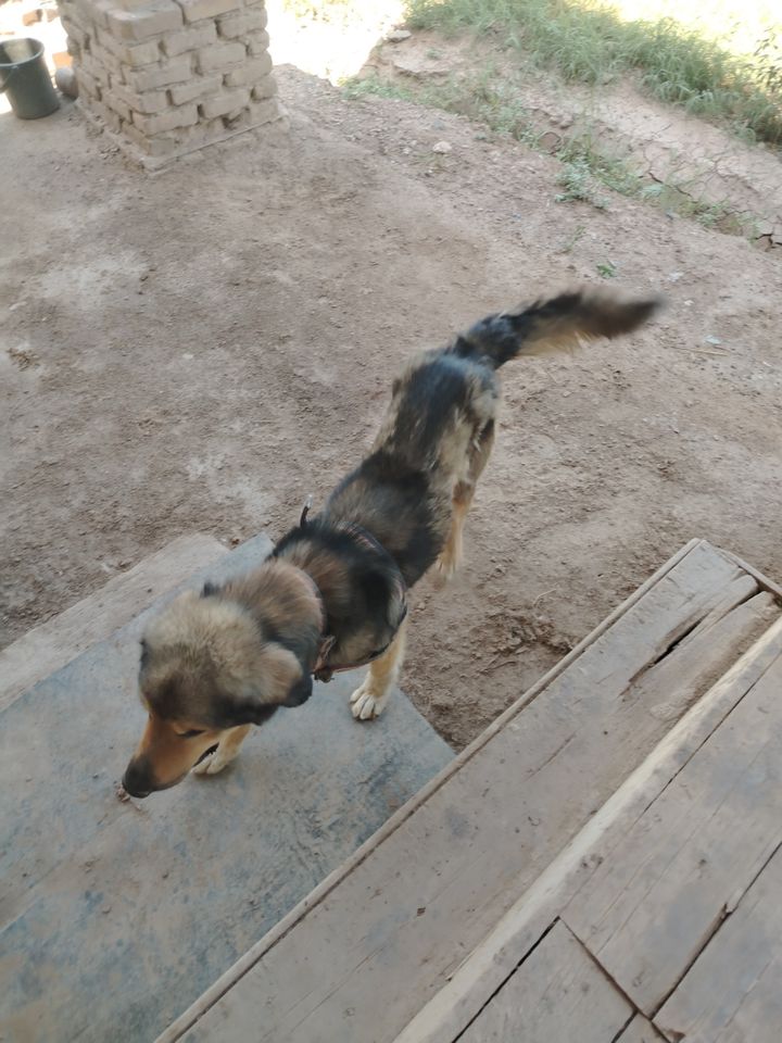 Бесплатно