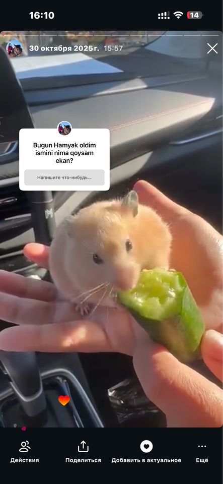 300 000 сум