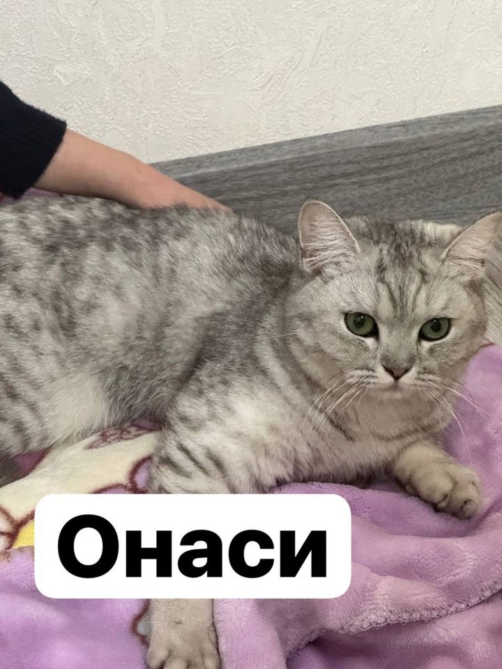 200 000 сум