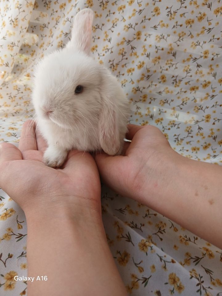 200 000 сум