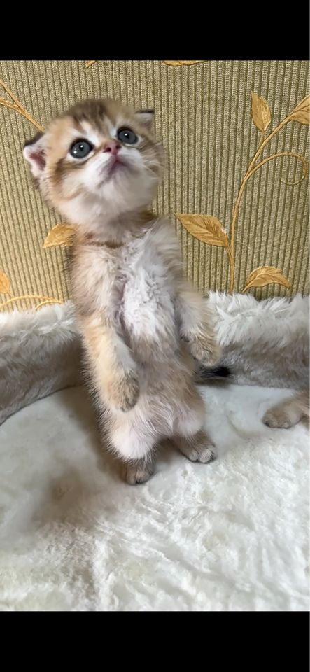 150 USD