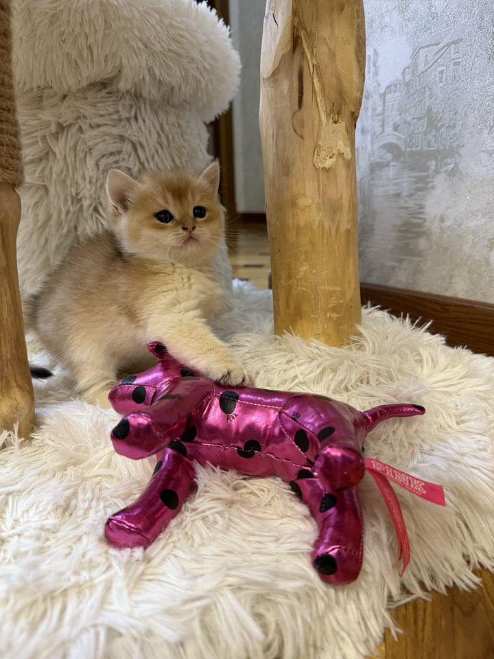 600 USD