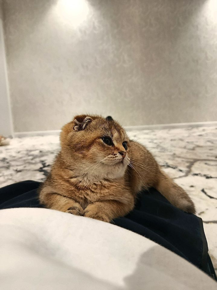 150 USD