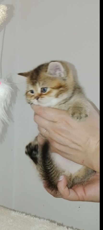 120 USD