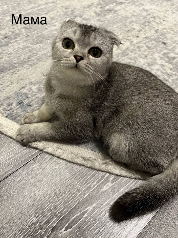 1 000 000 сум