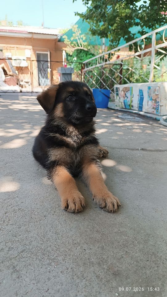 150 USD