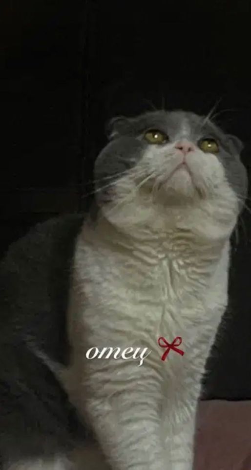 30 USD