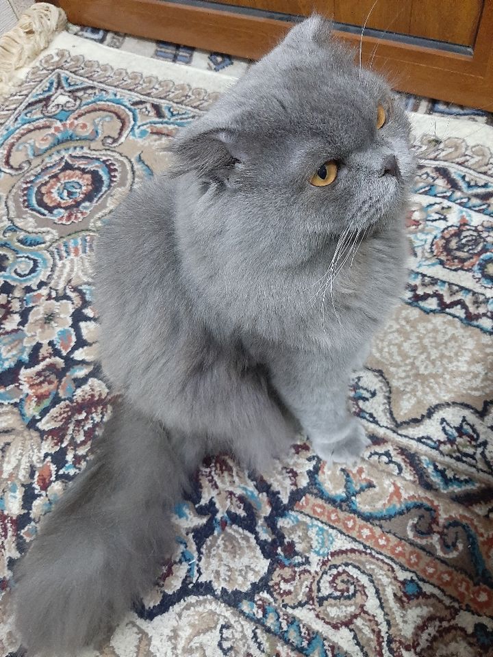 950 000 сум