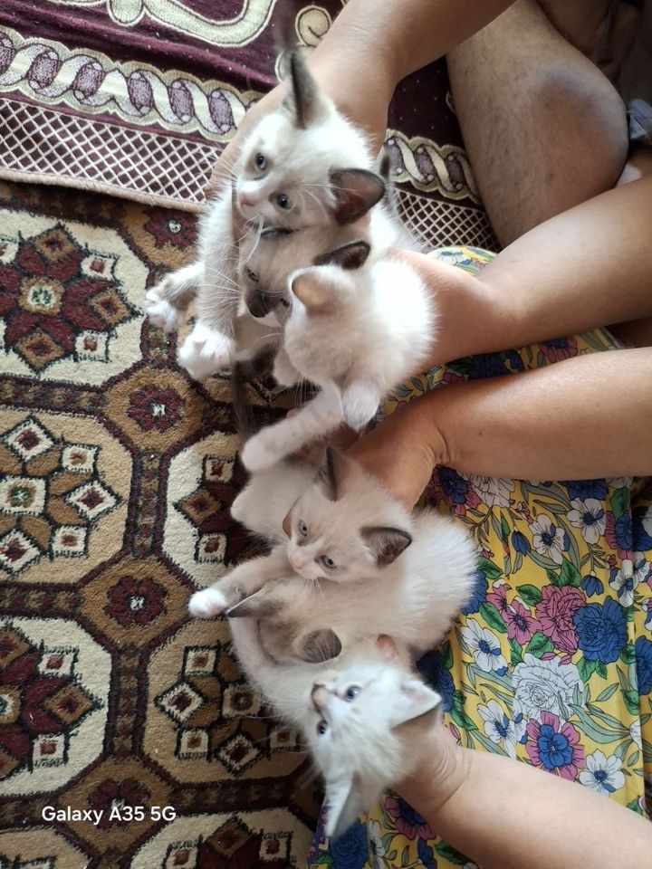 100 000 сум