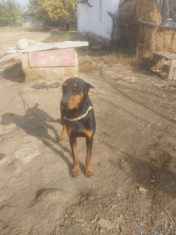 1 000 000 UZS