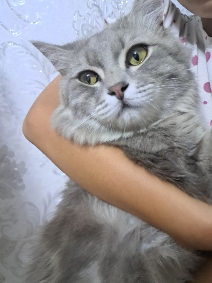 1 300 000 сум