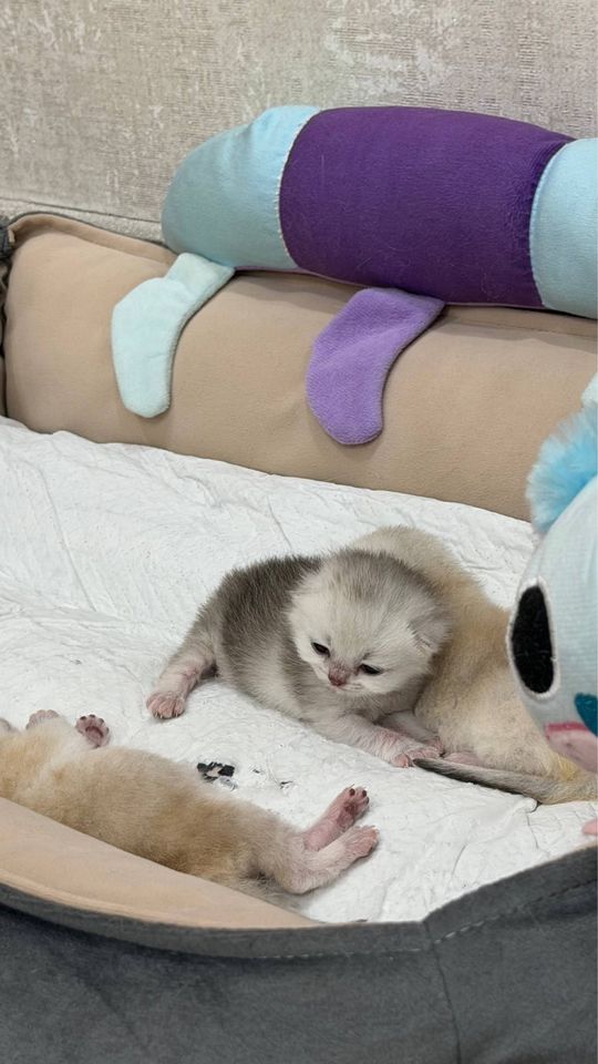 230 USD