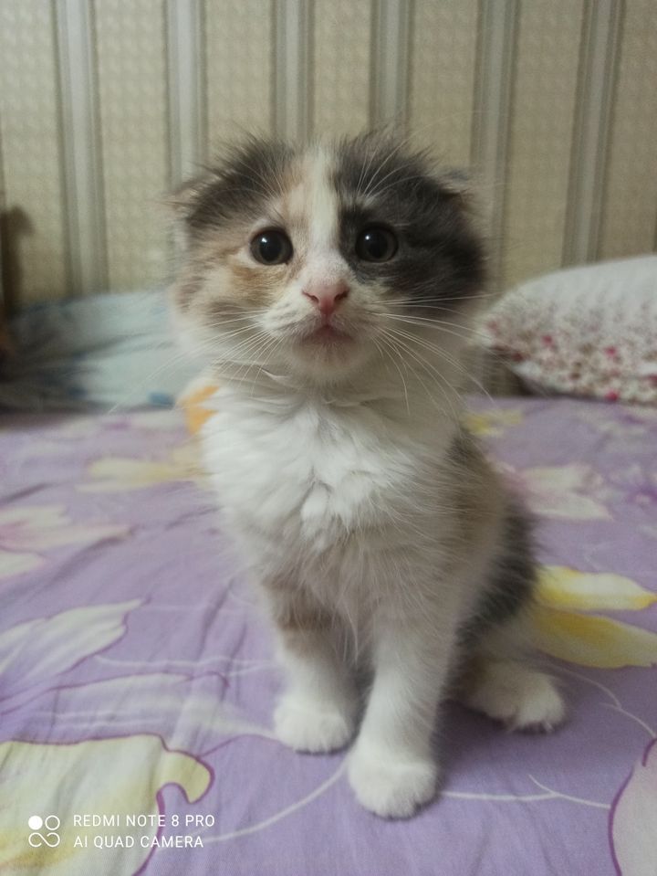 200 000 сум