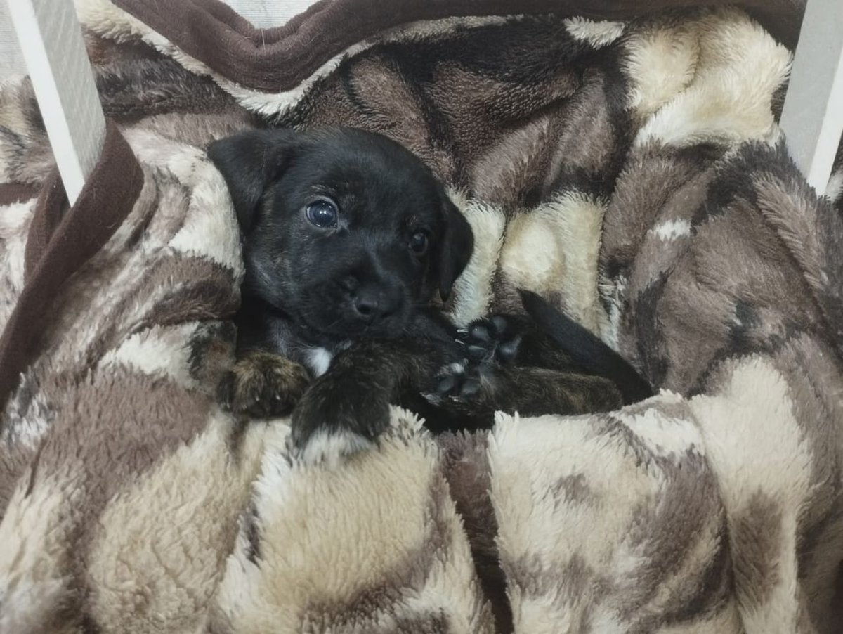 500 000 сум