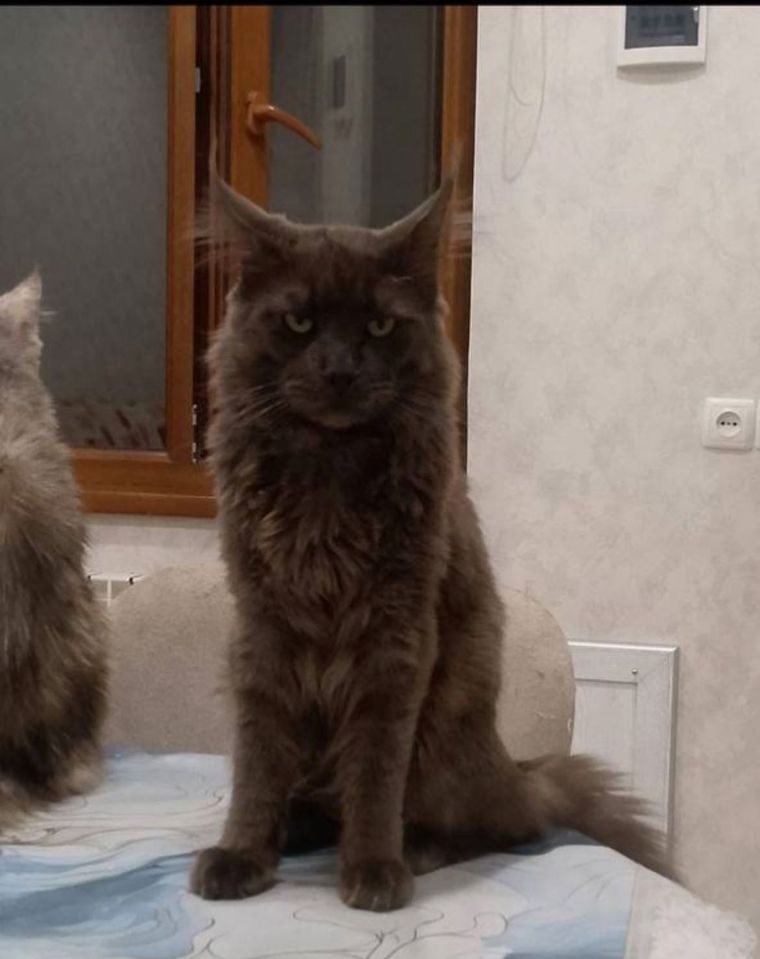 900 000 сум