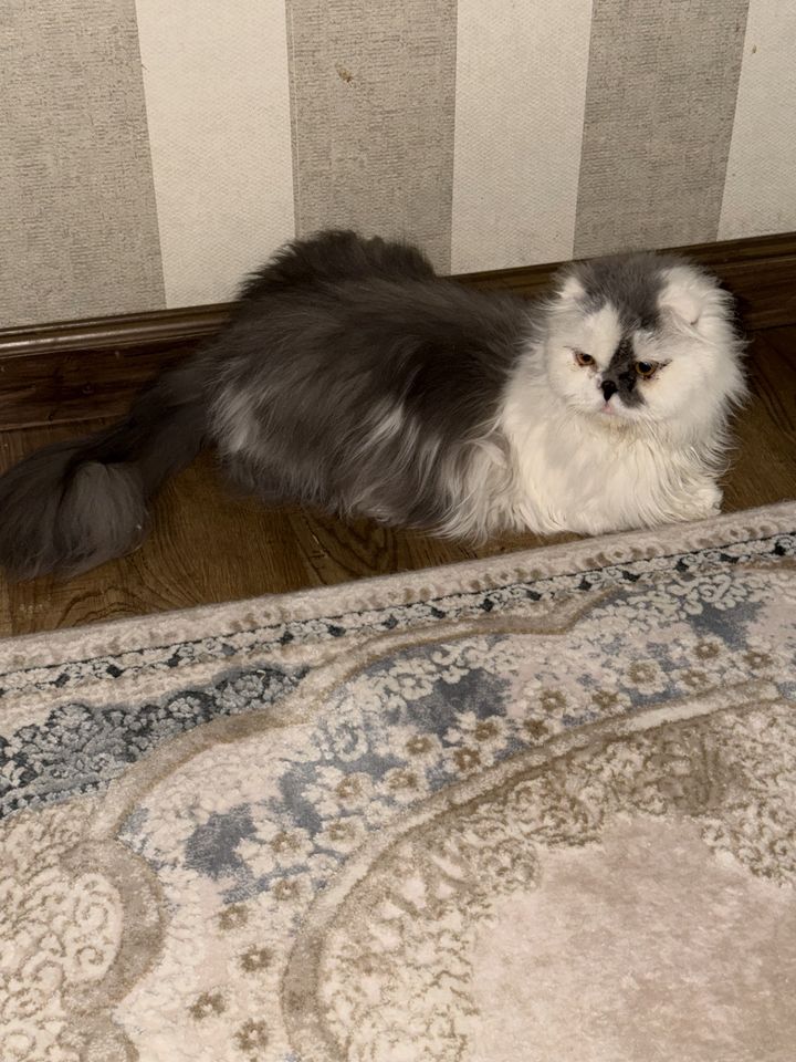 1 000 000 сум