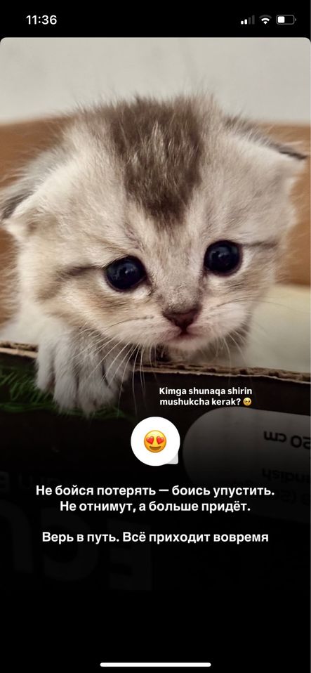 100 USD