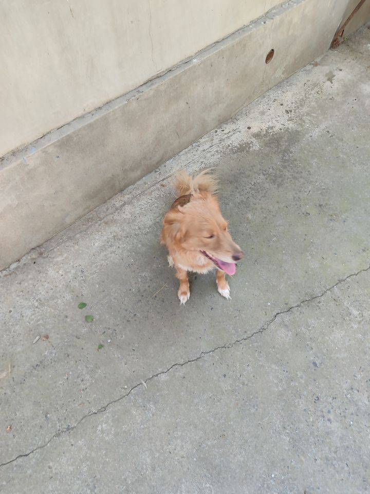 Free
