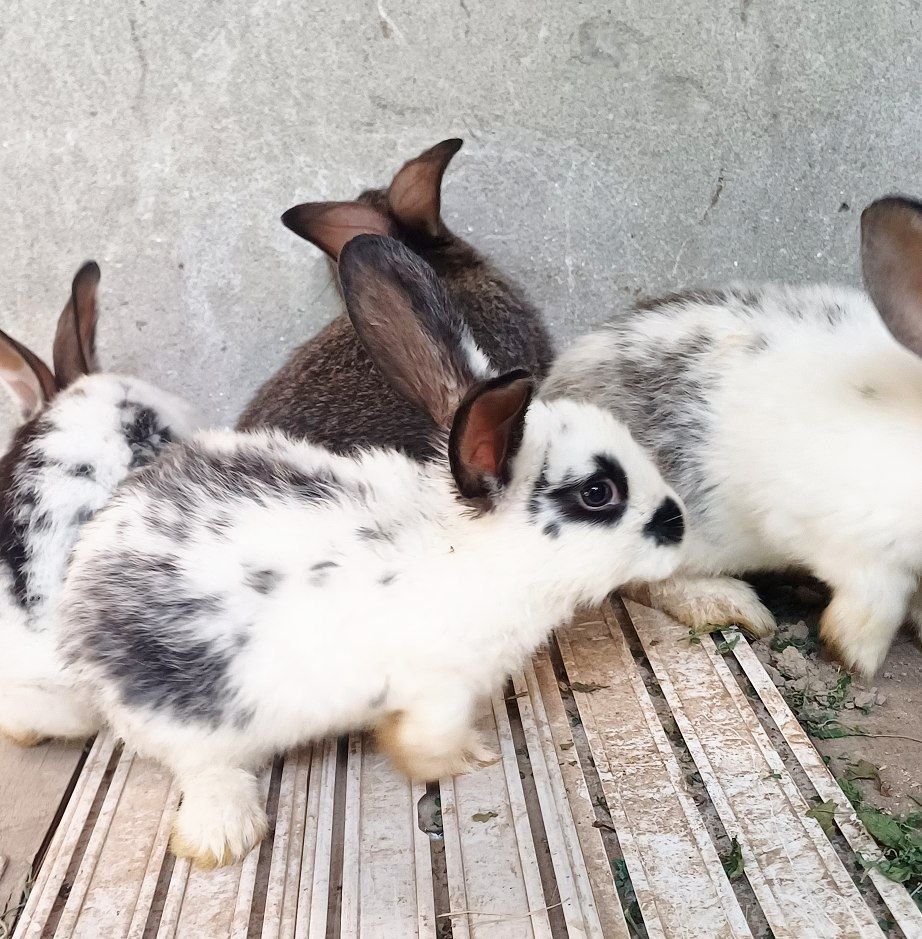 100 000 сум