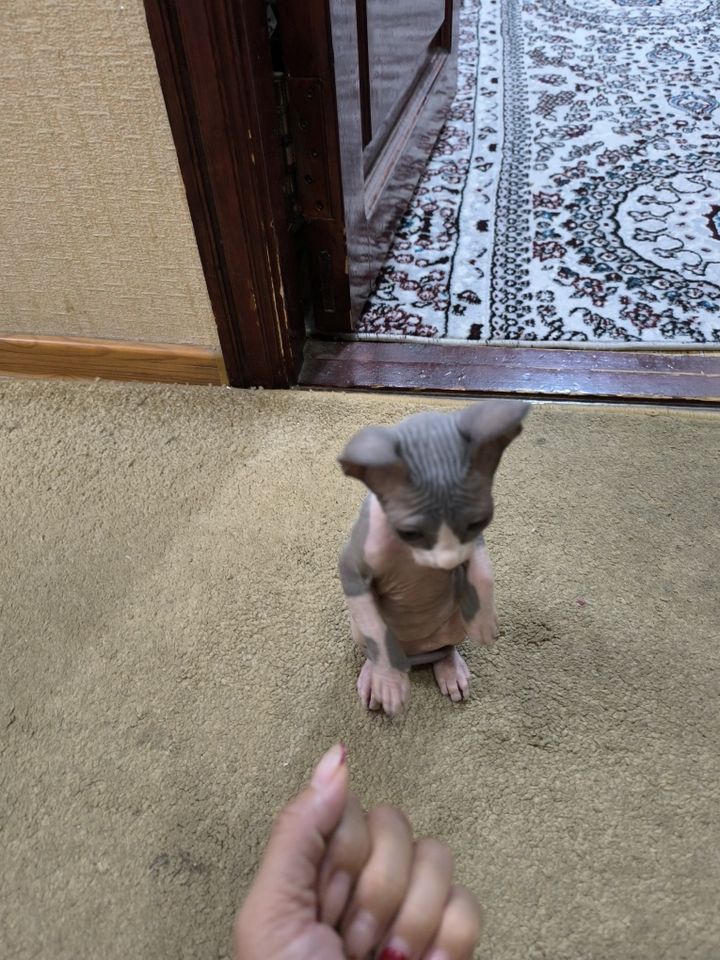 1 200 000 сум