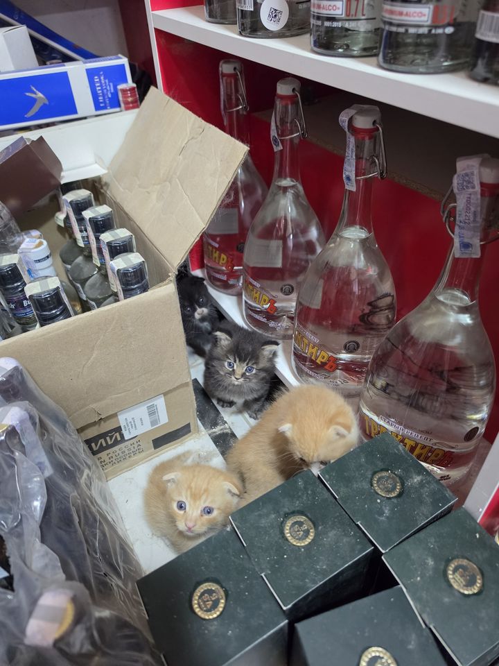 600 000 сум