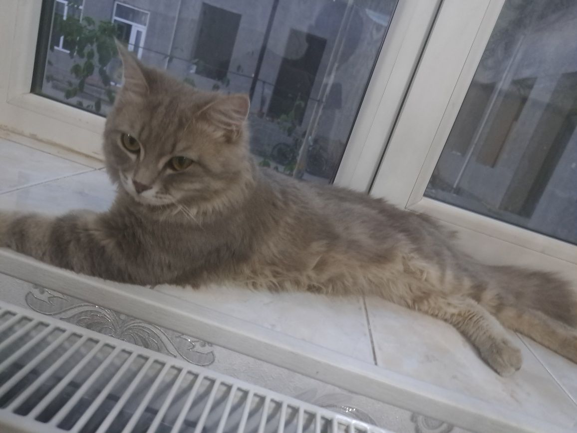 1 300 000 сум