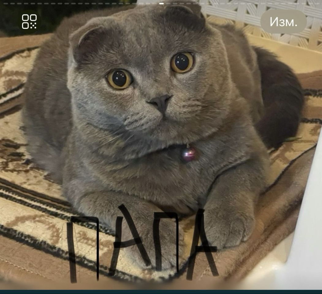 950 000 сум