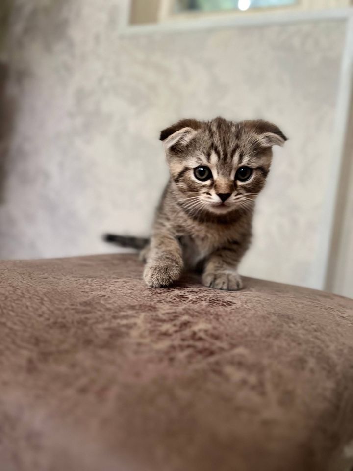 1 000 000 сум