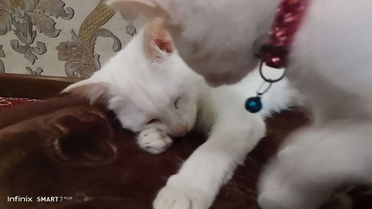 600 000 сум