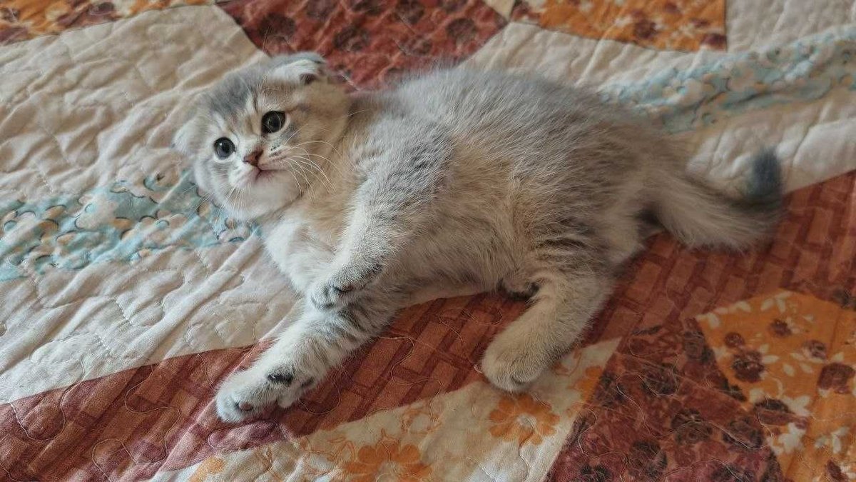 800 000 сум