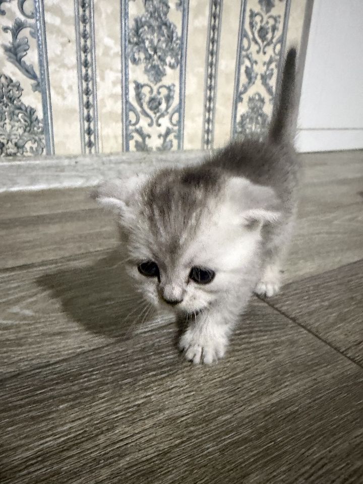 120 USD