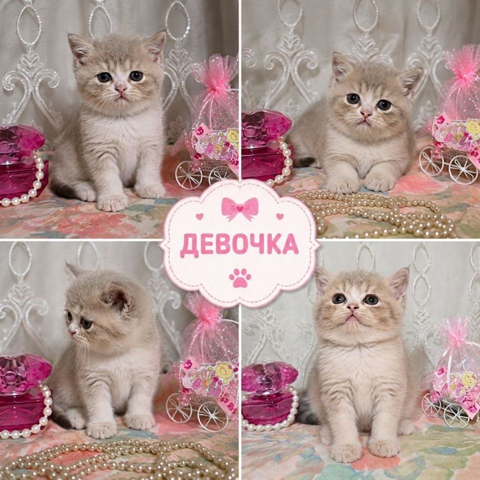 700 000 сум
